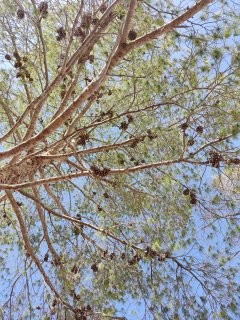 تحديد موعد للسيمنار